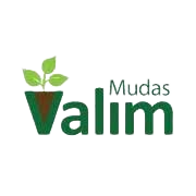 valim-removebg-preview
